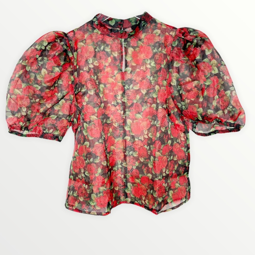 Blashe Floral Rose Sheer Puff Sleeves Top